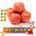 山东红富士苹果，75起步，条纹，规格齐全，一手货专供商超