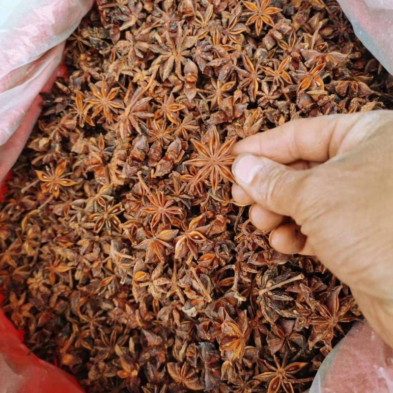 云南大红八角老树八角香味足/全干/去籽去把无硫春花八角