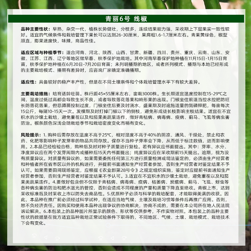 青丽6号杂交一代长线椒种子条顺垂直