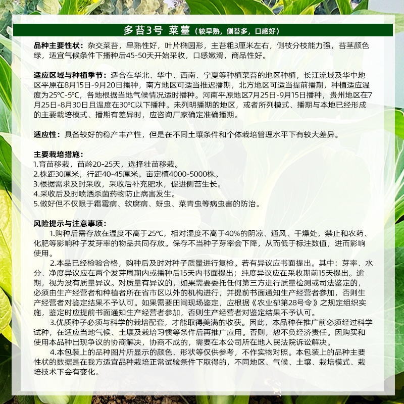 菜苔菜心种子侧分枝能力强苔茎颜色绿口感嫩滑长速快