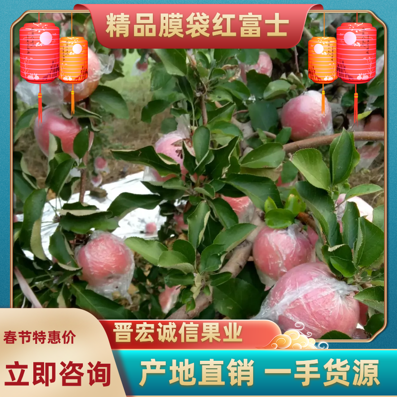 苹果山西红富土冰糖心苹果纸十膜代红富士规格齐全