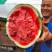 雷冠大西瓜种子个大瓤红产量高的好品种适合全国