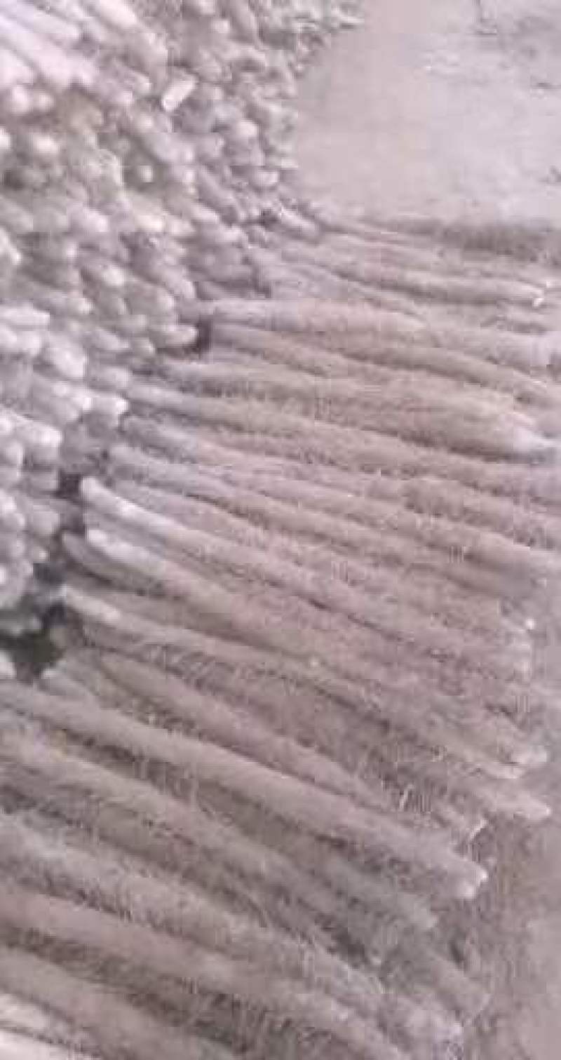 棒药菜山药山药规格品种齐全量大价优欢迎来电咨询