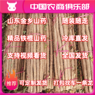 细毛山药，山东铁棍全国直发。代收，代销，冷库储存