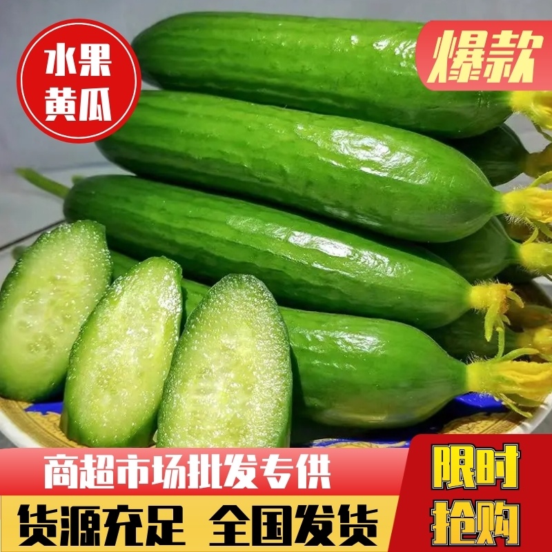 【寿光水果黄瓜】小黄瓜产地直发，大量供应新鲜价低
