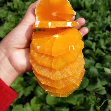湖北纽荷尔脐橙60~70mm产地销售口感甘甜成色好