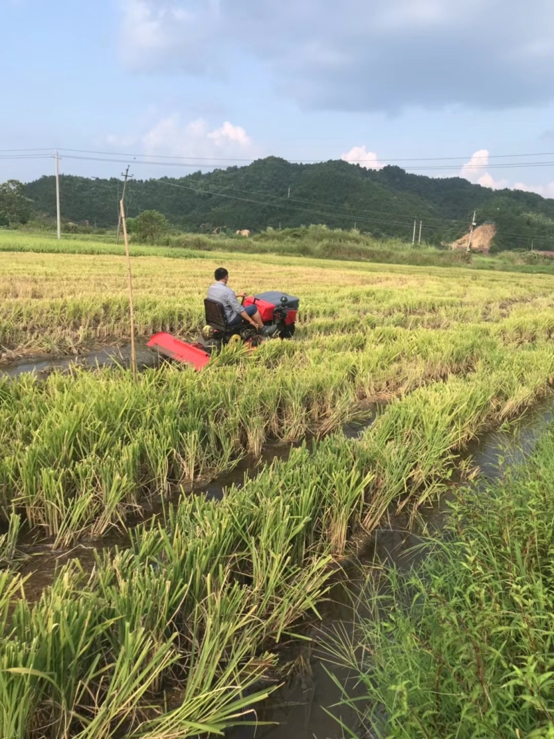 农用乘坐式旋耕机水田旱地两用旋耕机打田机