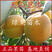 杏树新品种天山巨杏苗特大果基地直销品种纯正包邮