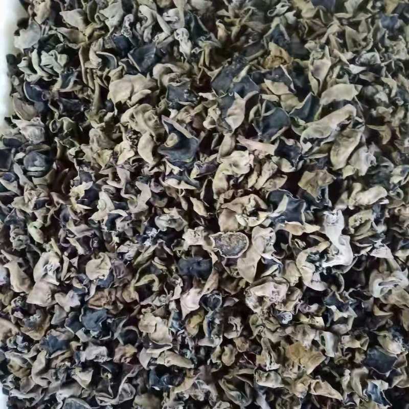 木段耳黑龙江伊春黑木耳产地直发1件代发量大优惠