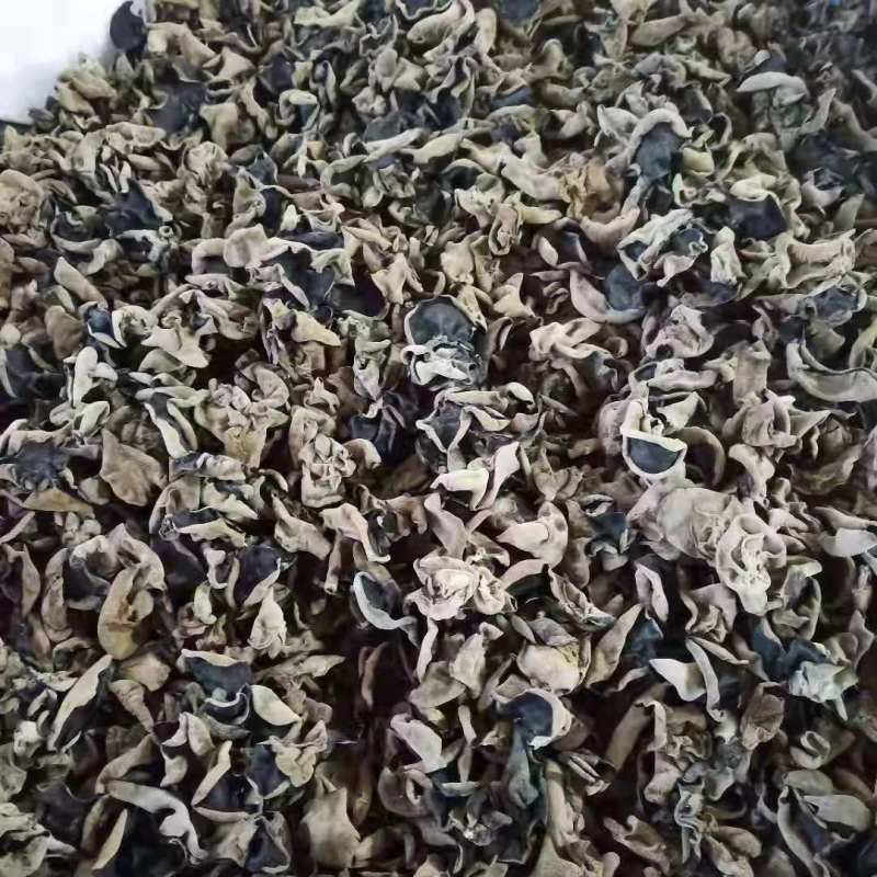 杠八黑木耳伊春黑木耳品质货产地直销一手货源价优
