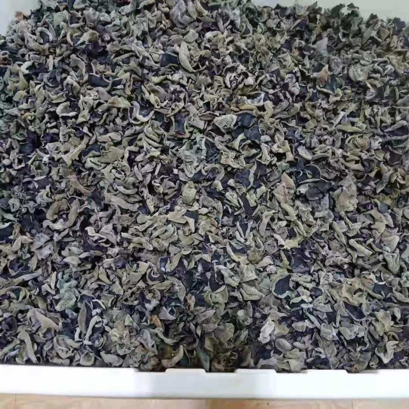 大地头茬黑木耳伊春黑木耳产地直销一手货源价优
