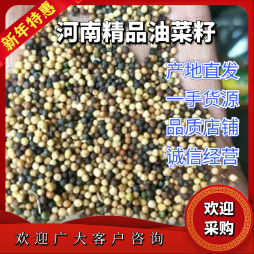 【年底大促】油菜籽小榨油机出38个油