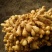 江苏万亩老姜产地直销批发，每天上货几十万斤任意挑选。