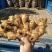 安徽万亩老姜产地直销批发，每天上货几十万斤任意挑选。