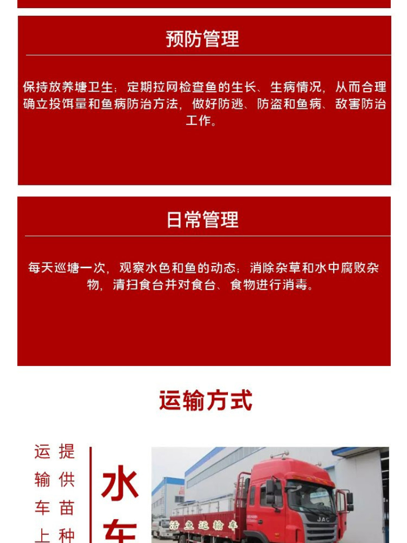 花莲苗批发产地直销养殖技术指导一手货源