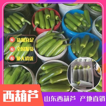 【基地直发】优质西葫芦大量供应，量大从优，超市**