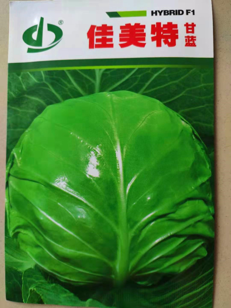 甘蓝种子包菜种子佳美特甘蓝中早熟高产抗病抗裂优质卷心