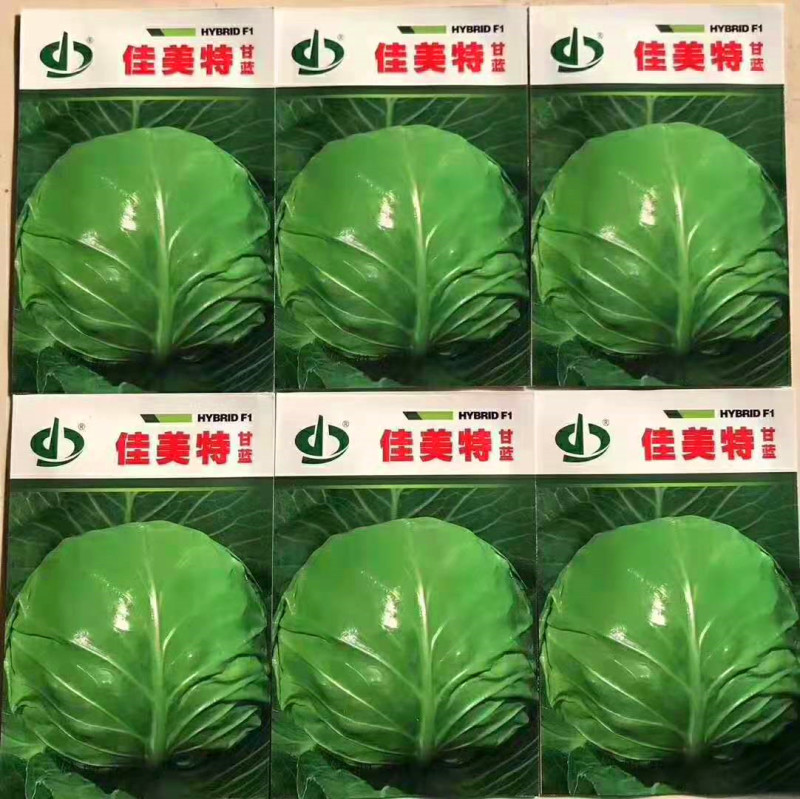 甘蓝种子包菜种子佳美特甘蓝中早熟高产抗病抗裂优质卷心