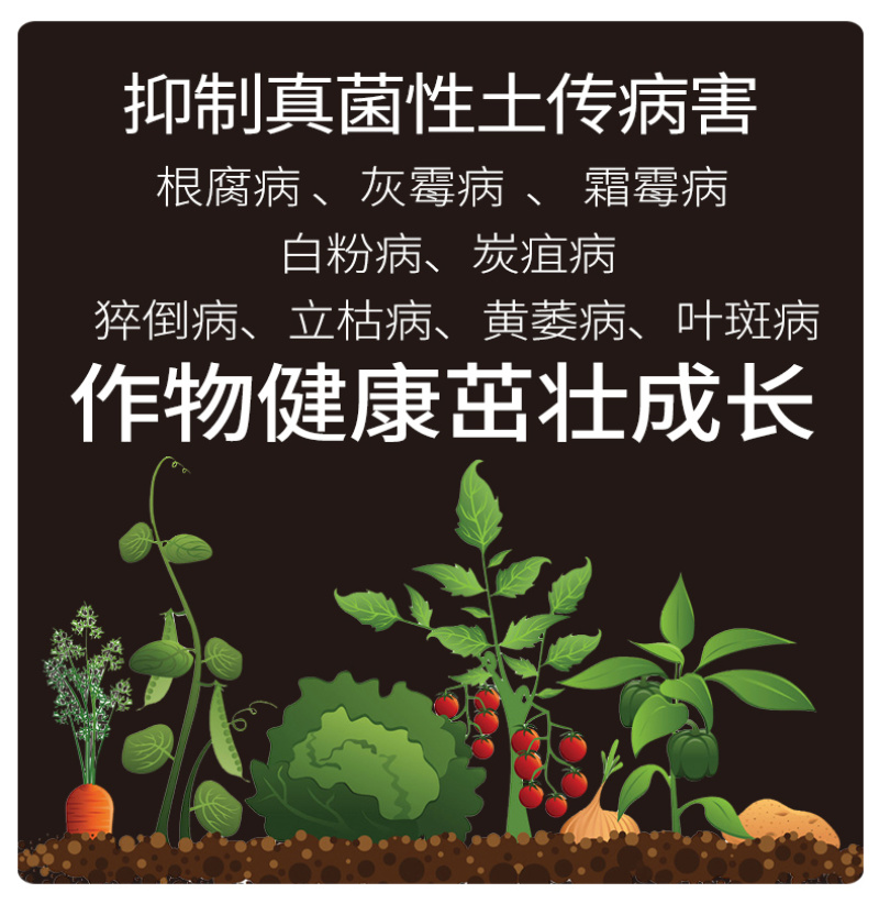 改善土壤改良剂哈茨木霉菌微生物菌剂防土传病菌肥杀菌剂