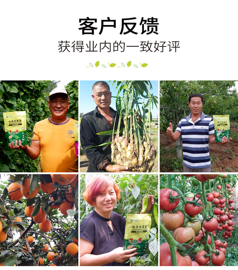 改善土壤改良剂哈茨木霉菌微生物菌剂防土传病菌肥杀菌剂