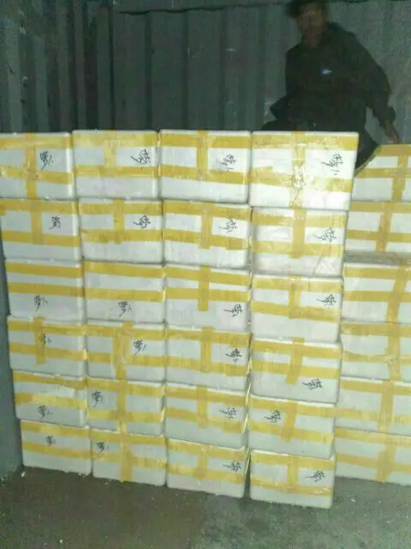 【优质】江苏樱桃萝卜全国发货基地供应质优价廉量大从优电联钜惠