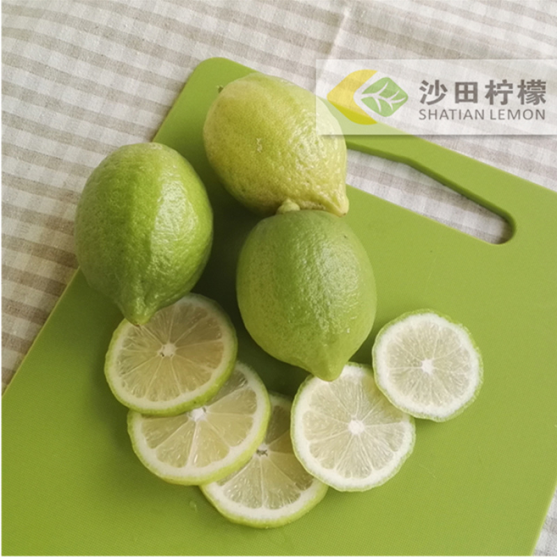 广州市白云区香水柠檬沙田柠檬新鲜光洁品质上乘现摘现发