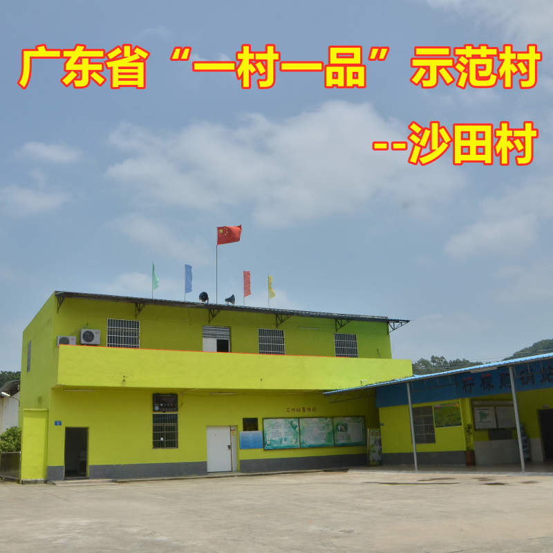 广州市白云区香水柠檬沙田柠檬新鲜光洁品质上乘现摘现发