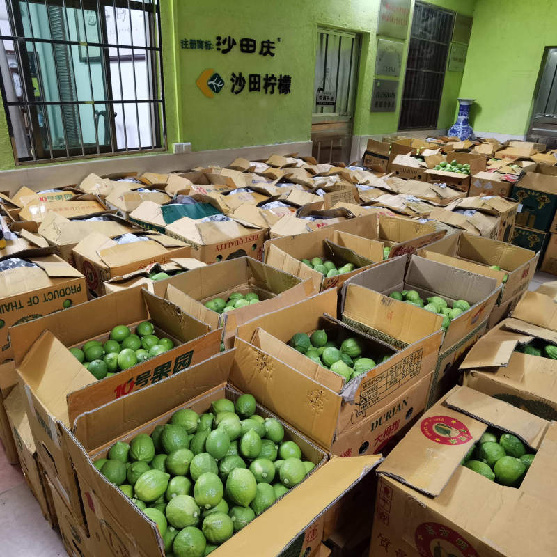 广州市白云区香水柠檬沙田柠檬新鲜光洁品质上乘现摘现发