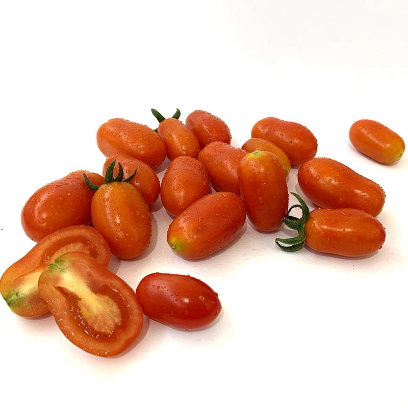 中科茂华蔬菜种子冰糖花生果番茄种子圣女果酸甜口圆形易种植