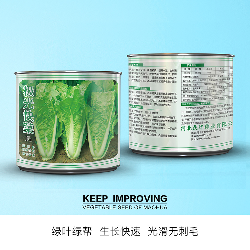 中科茂华快菜种子极光快菜种子早熟20天大棵型黄芯小白菜