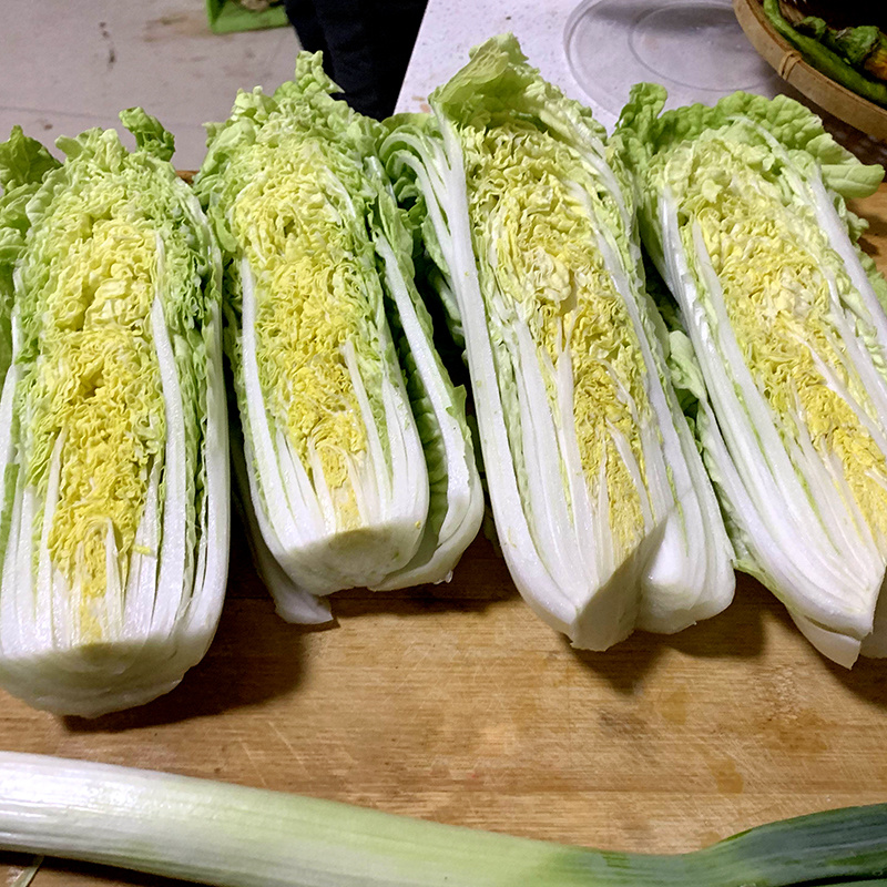 中科茂华快菜种子极光快菜种子早熟20天大棵型黄芯小白菜