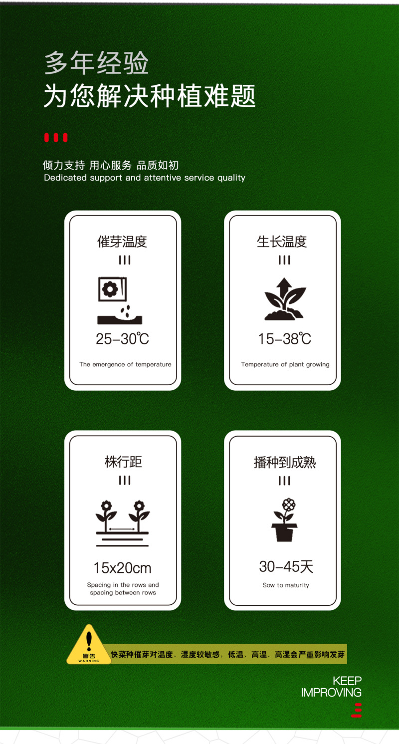 中科茂华快菜种子极光快菜种子早熟20天大棵型黄芯小白菜