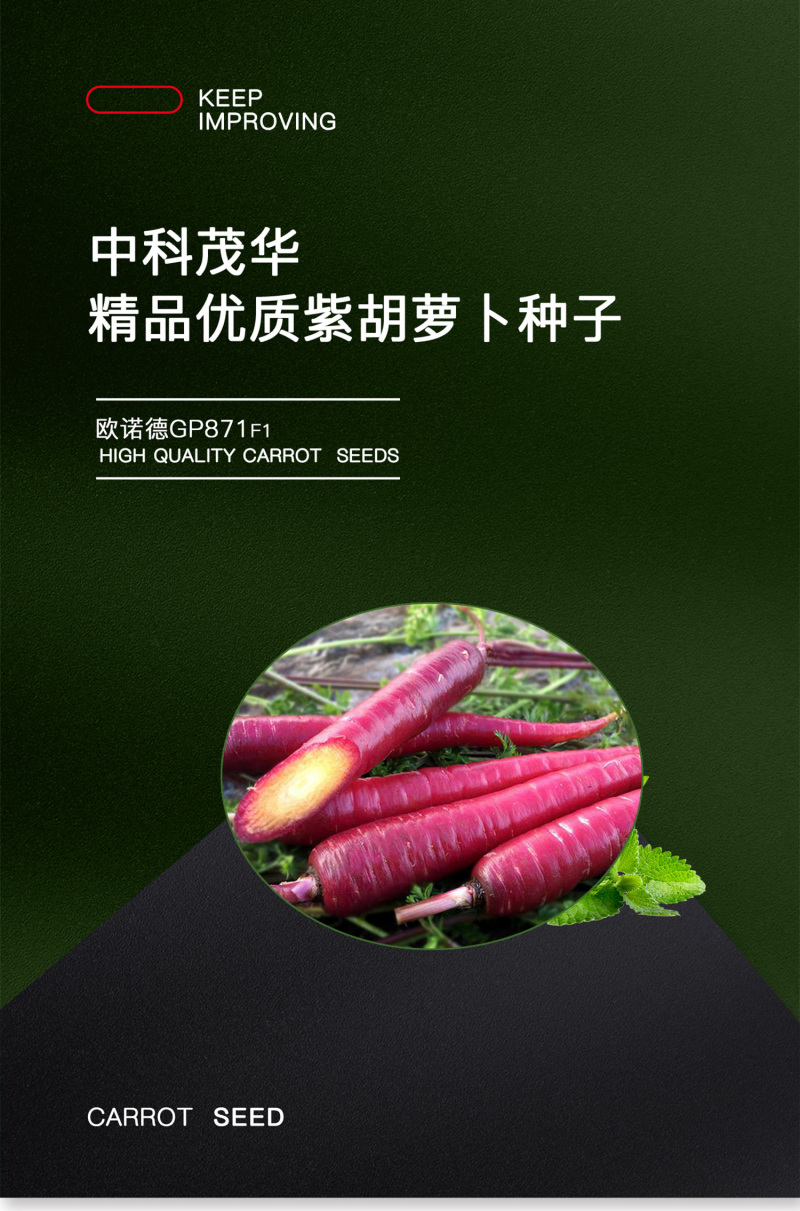 中科茂华蔬菜种子欧诺德紫胡萝种子根型整齐甜脆爽口
