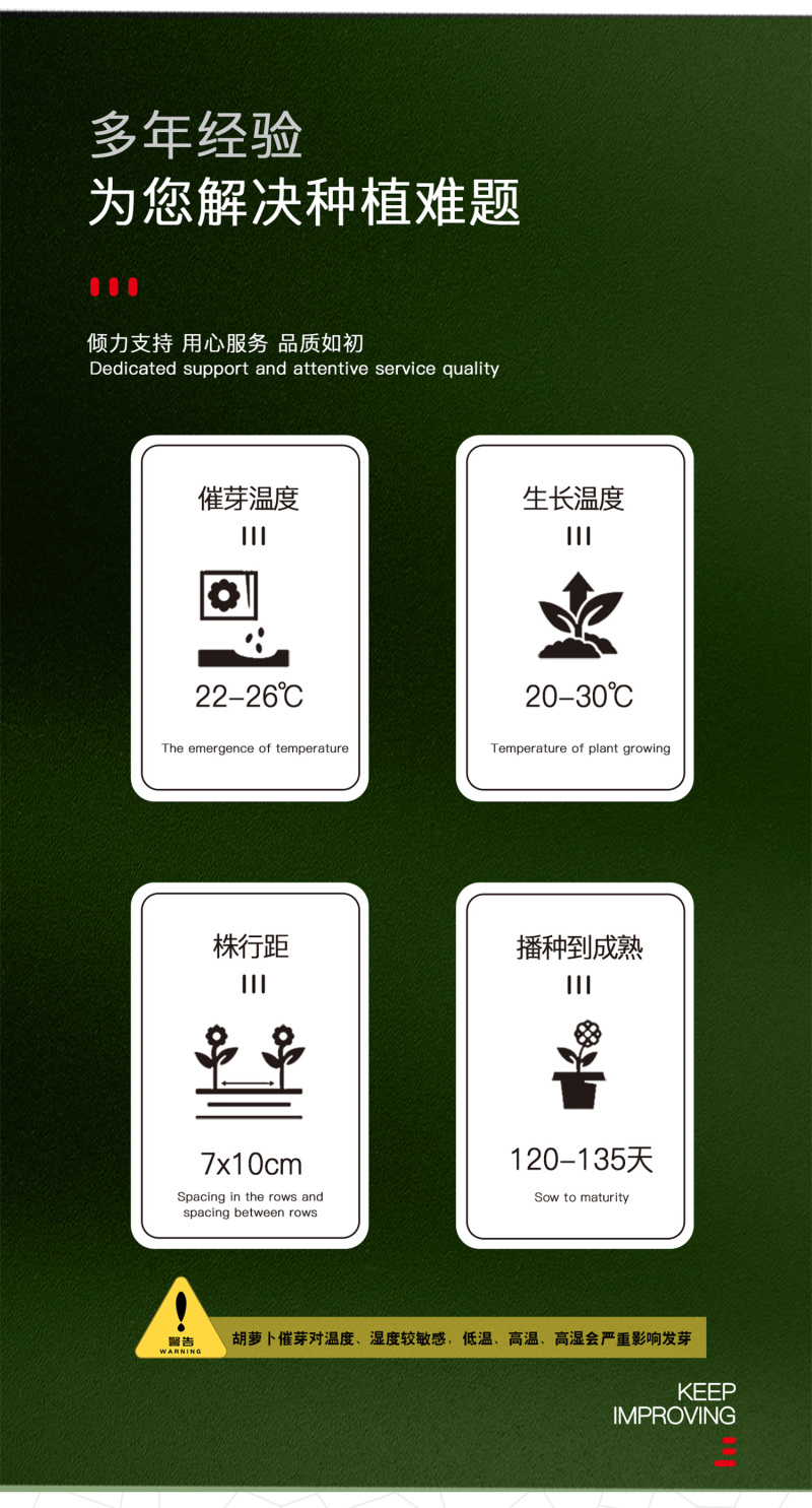 中科茂华蔬菜种子欧诺德紫胡萝种子根型整齐甜脆爽口