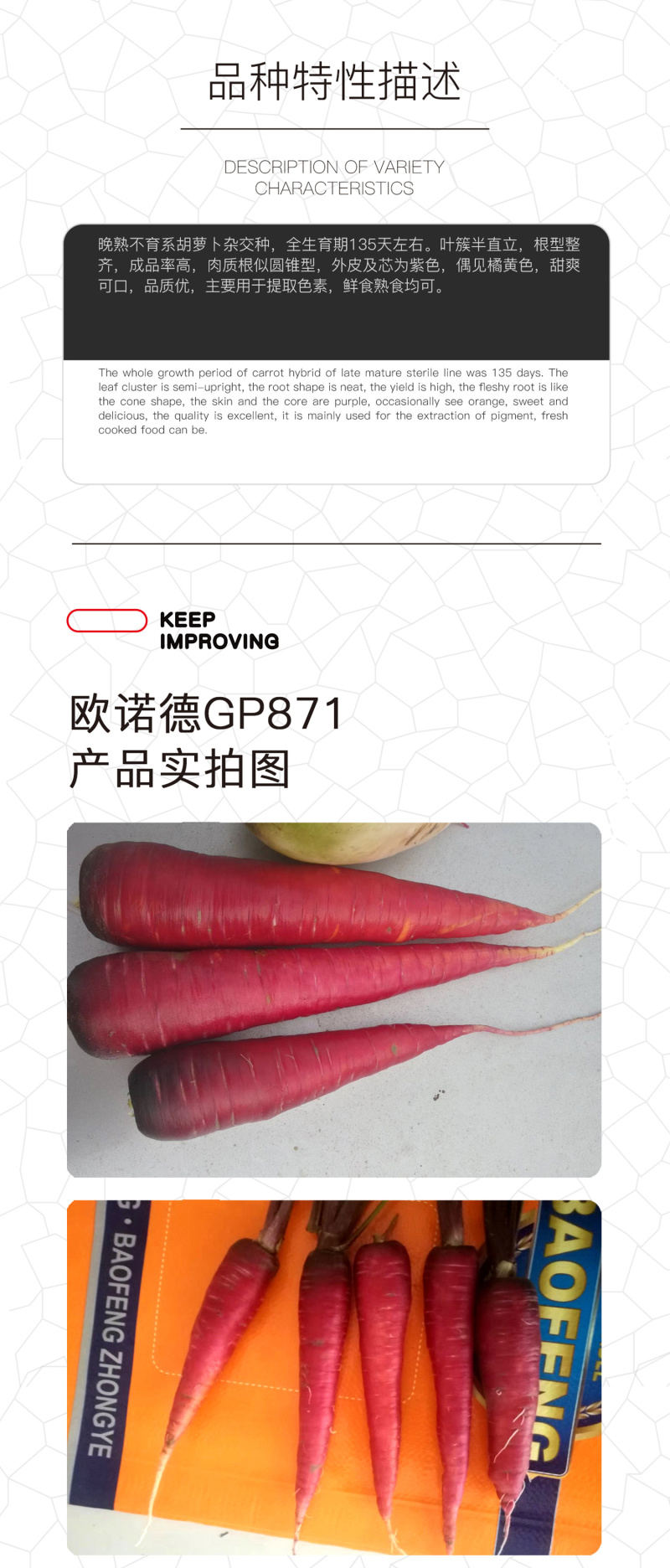 中科茂华蔬菜种子欧诺德紫胡萝种子根型整齐甜脆爽口