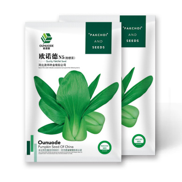 中科茂华蔬菜种子欧诺德N5青梗菜种子上海青油菜耐寒耐湿