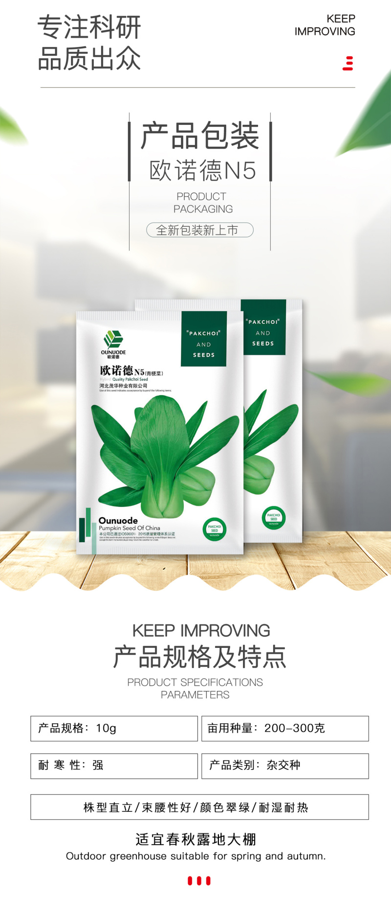 中科茂华蔬菜种子欧诺德N5青梗菜种子上海青油菜耐寒耐湿