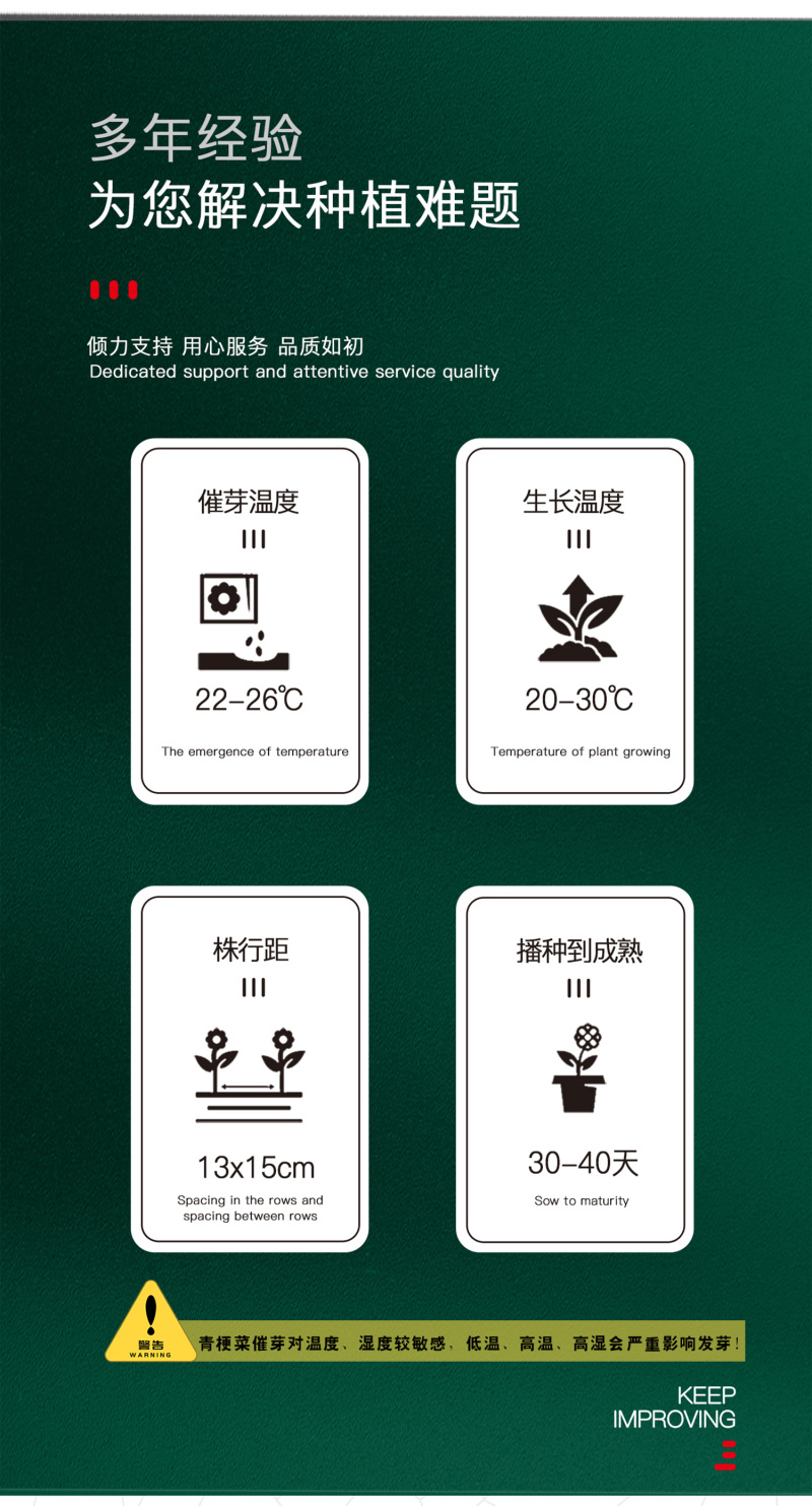 中科茂华蔬菜种子欧诺德N5青梗菜种子上海青油菜耐寒耐湿