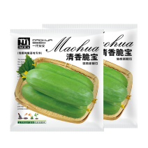 中科茂华瓜果蔬菜种子清香脆宝菜瓜种子无棱绿皮菜瓜低糖型