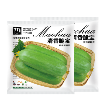 中科茂华瓜果蔬菜种子清香脆宝菜瓜种子无棱绿皮菜瓜低糖型