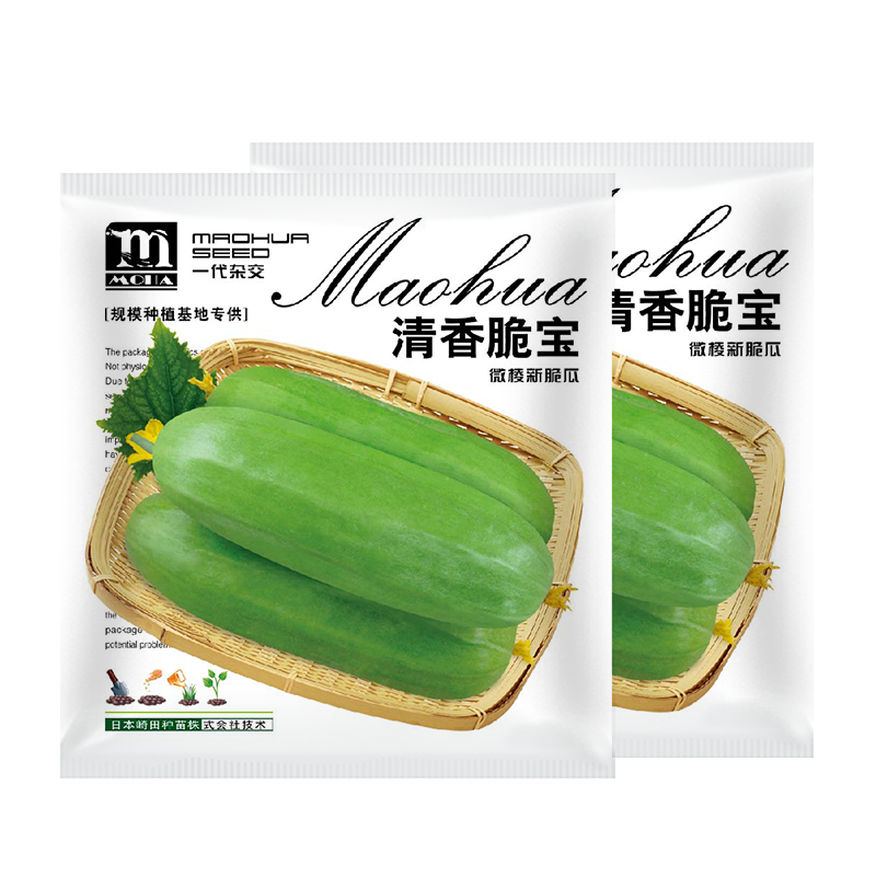 中科茂华瓜果蔬菜种子清香脆宝菜瓜种子无棱绿皮菜瓜低糖型