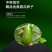 中科茂华瓜果蔬菜种子清香脆宝菜瓜种子无棱绿皮菜瓜低糖型
