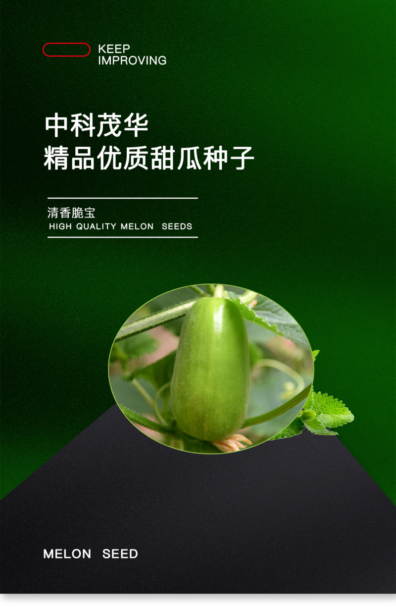 中科茂华瓜果蔬菜种子清香脆宝菜瓜种子无棱绿皮菜瓜低糖型