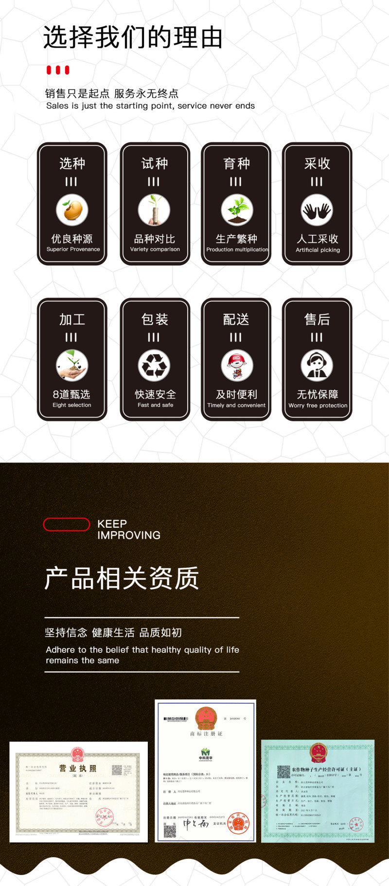中科茂华瓜果蔬菜种子清香脆宝菜瓜种子无棱绿皮菜瓜低糖型