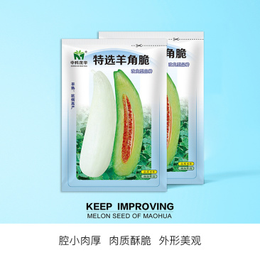 中科茂华蔬菜瓜果种子特选羊角脆甜瓜种子超甜羊角蜜