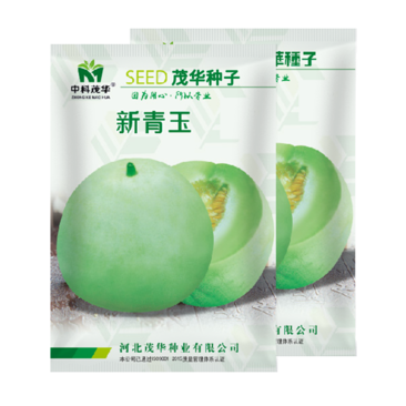 中科茂华瓜果种子新青玉甜瓜种子芝麻蜜香瓜种子含糖16.5