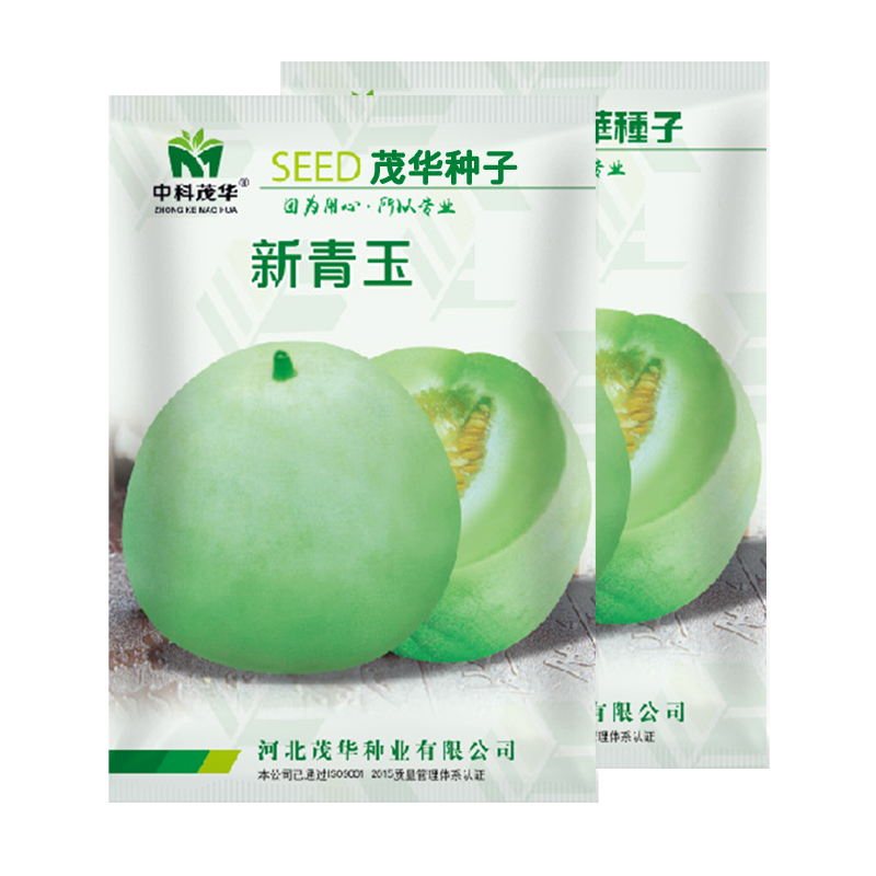 中科茂华瓜果种子新青玉甜瓜种子芝麻蜜香瓜种子含糖16.5