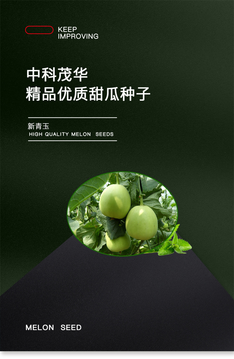 中科茂华瓜果种子新青玉甜瓜种子芝麻蜜香瓜种子含糖16.5