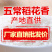 22年新米正宗黑龙江精品五常稻花香大米农家自产自销批发