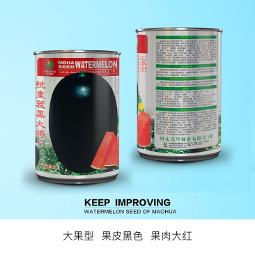 中科茂华蔬菜瓜果种子抗重茬黑大将黑皮大红瓤西瓜种子抗病